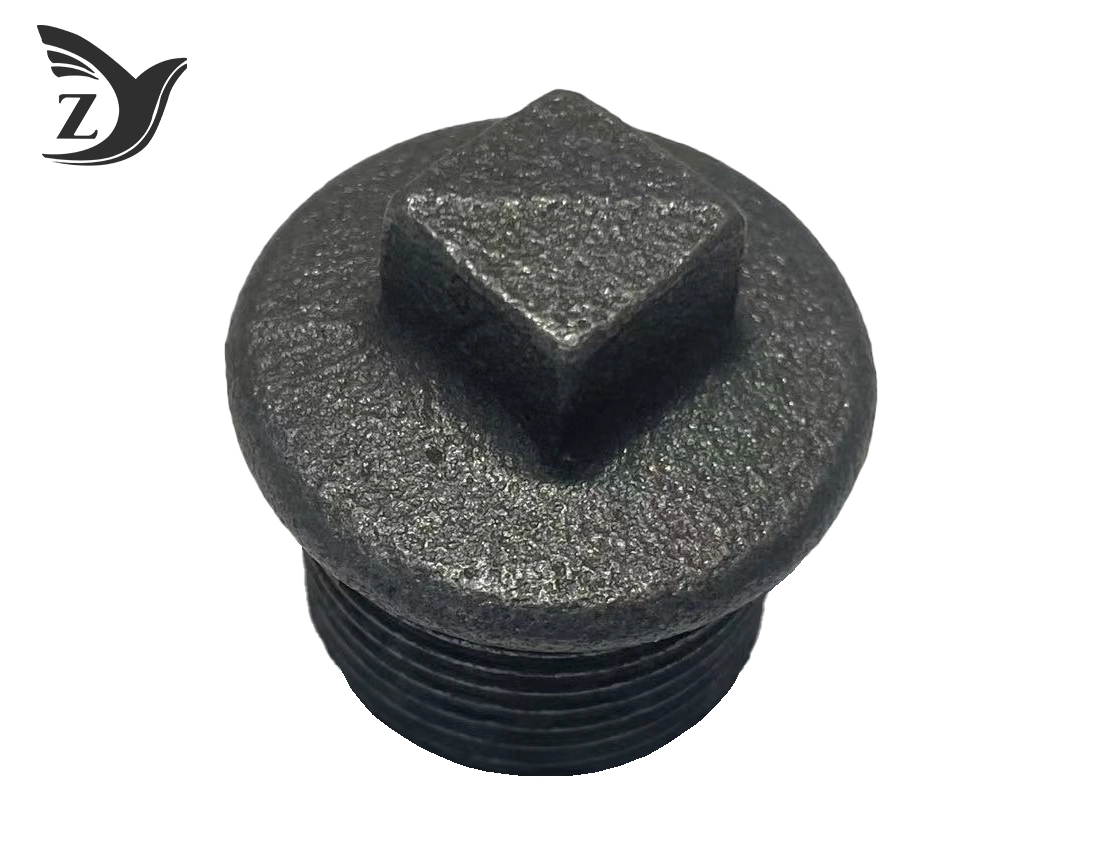 Black Flanged Plug Pipe Fittings 1