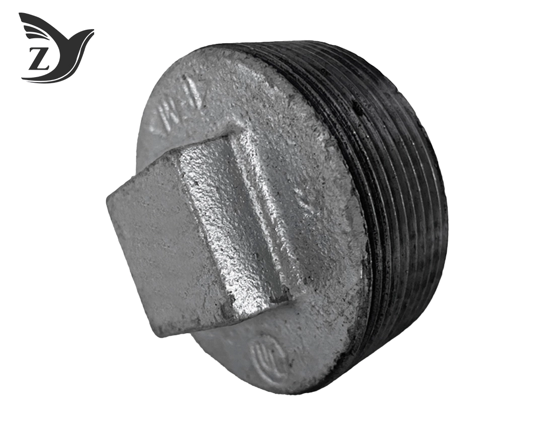 Galvanized Non-Flanged Pipe Plug Pipe Fittings 3