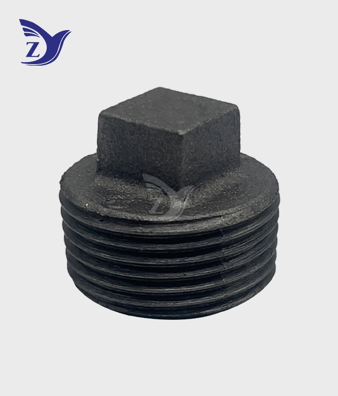 NPT. Black Flangeless Plug Pipe Fittings